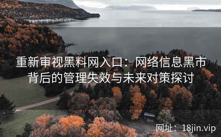 重新审视黑料网入口：网络信息黑市背后的管理失效与未来对策探讨