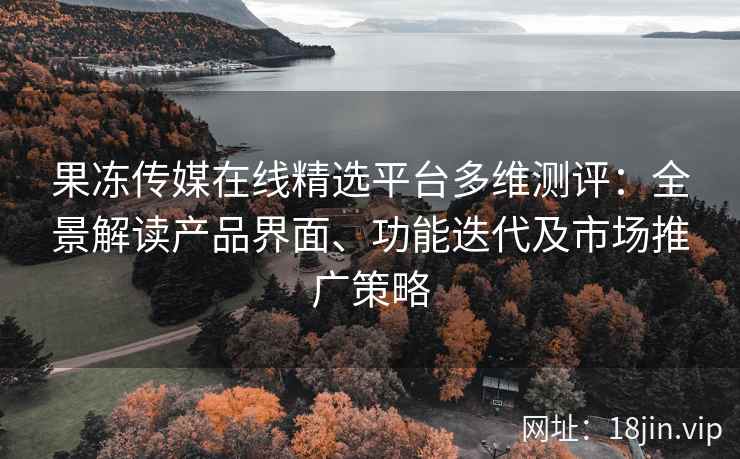 果冻传媒在线精选平台多维测评：全景解读产品界面、功能迭代及市场推广策略