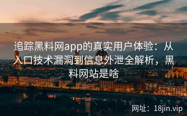 追踪黑料网app的真实用户体验：从入口技术漏洞到信息外泄全解析，黑料网站是啥