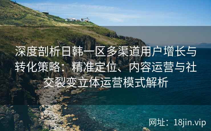 深度剖析日韩一区多渠道用户增长与转化策略：精准定位、内容运营与社交裂变立体运营模式解析