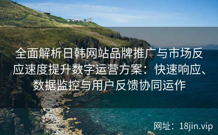 全面解析日韩网站品牌推广与市场反应速度提升数字运营方案：快速响应、数据监控与用户反馈协同运作