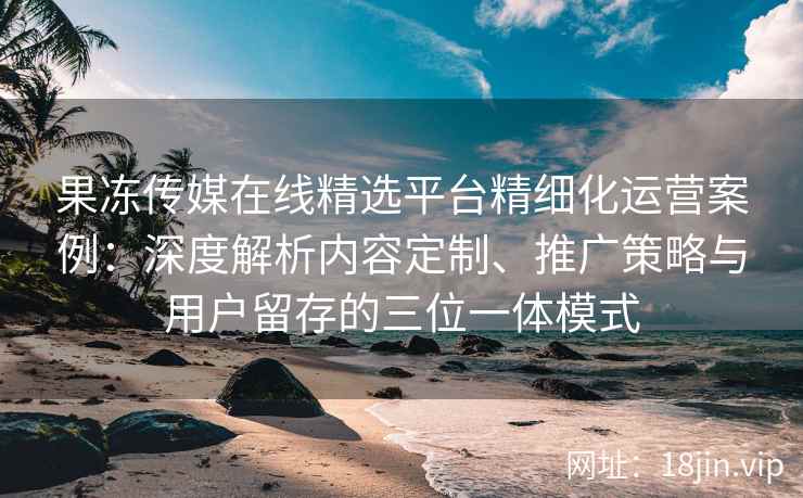 果冻传媒在线精选平台精细化运营案例：深度解析内容定制、推广策略与用户留存的三位一体模式